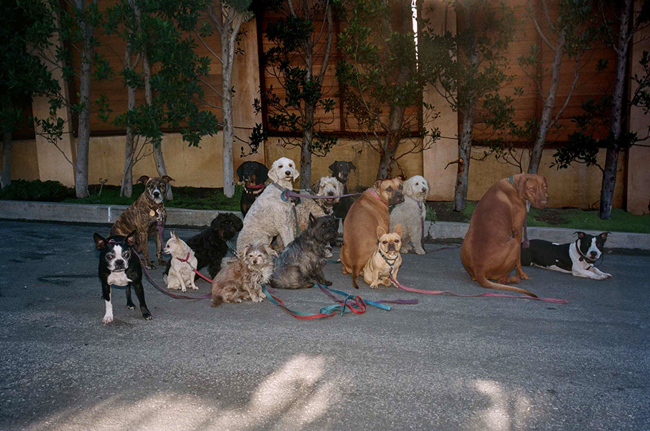 Sinna Bryce Nasseri  Recreation : Los Angeles, CA 2020