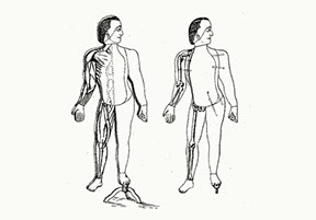 Narmine Sadeg  People and things  An unsettled readymade fiction, 2020